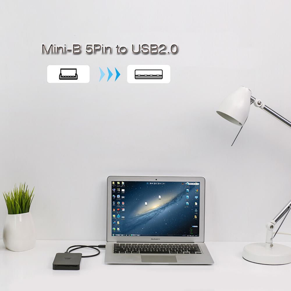 1Ft A Male to Mini-B 5Pin Male USB2.0 Cable