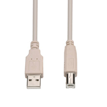 10Ft A-Male to B-Male USB2.0 Cable Ivory