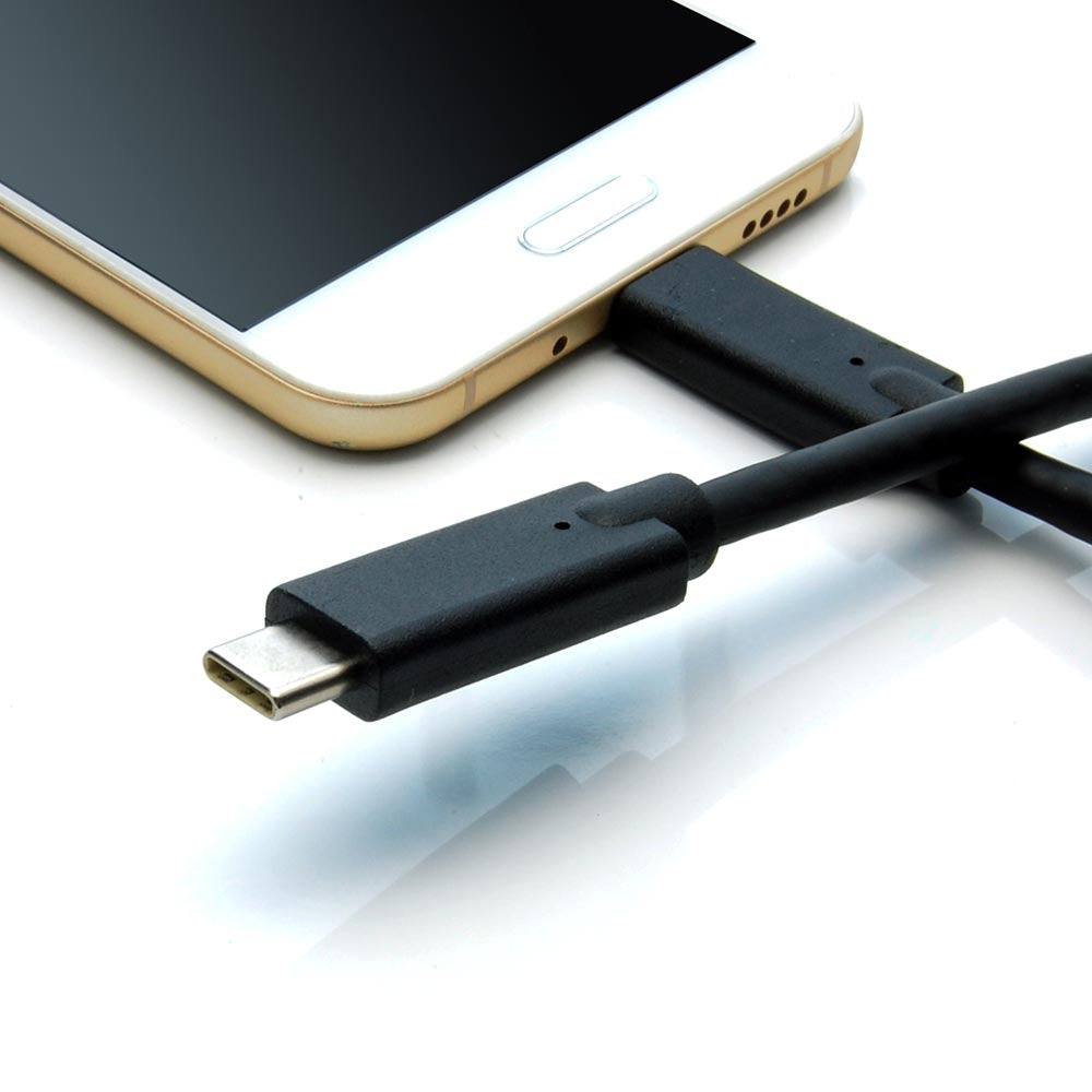 1Ft USB Type C Male to Type C Male Cable